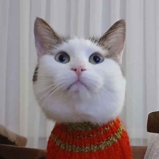 Fiko